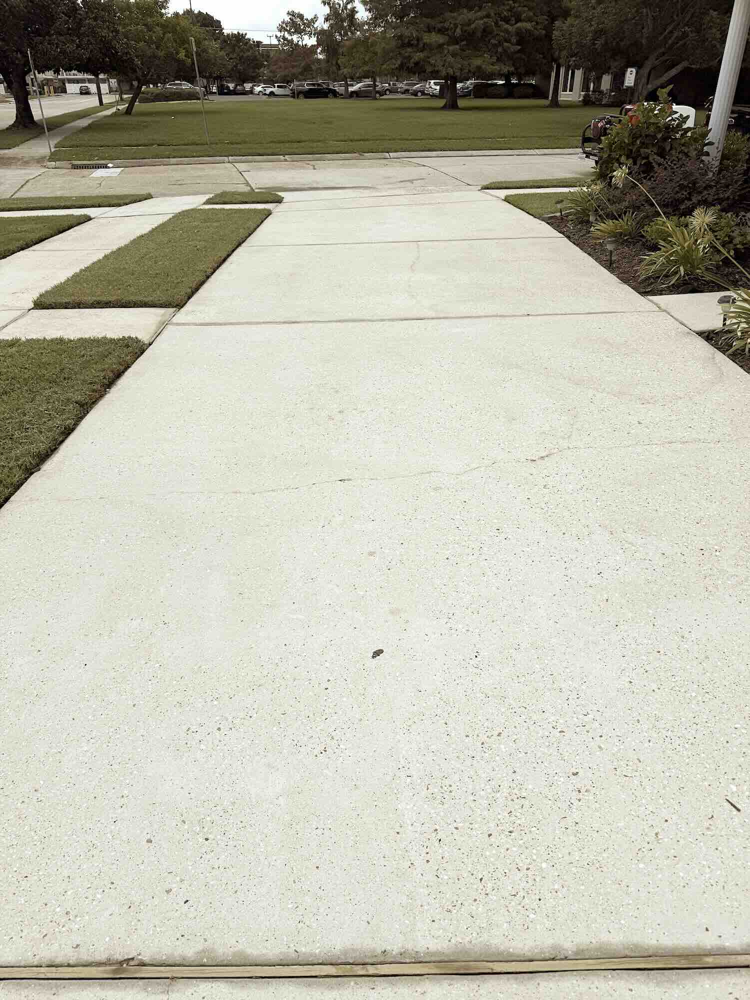 Freshly cleaned concrete driveway after expert pressure washing by Love Bug Pressure Washing in Metairie, LA.